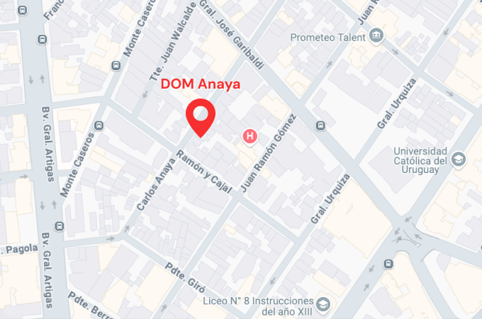 Google Maps DOM Anaya